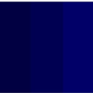 Meet your Posher, navycolor